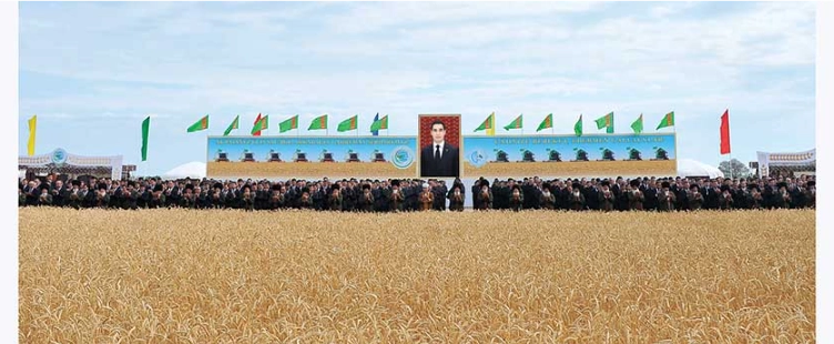 Ak bugdaýly meýdanlar — bereket-bolçulygyň nyşany