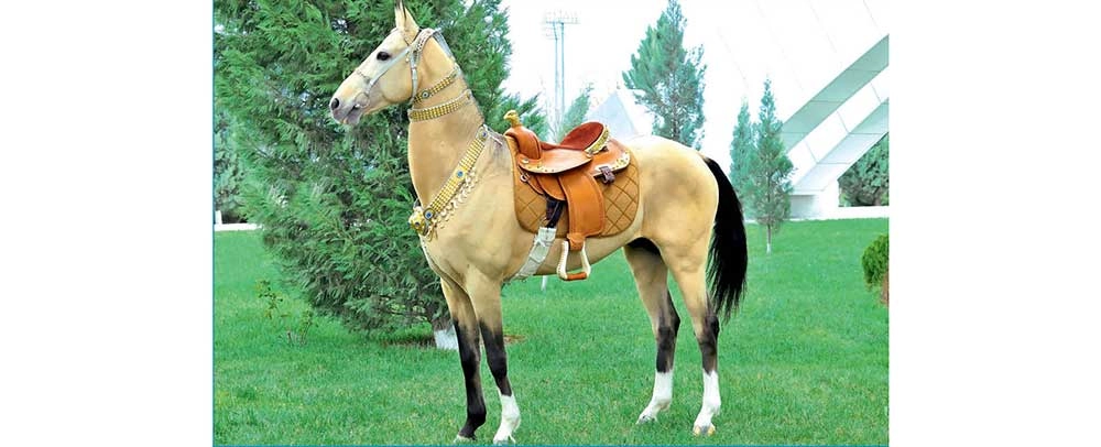 Bedew batly Türkmenistan