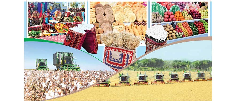 Päk zähmetiň belent hormaty